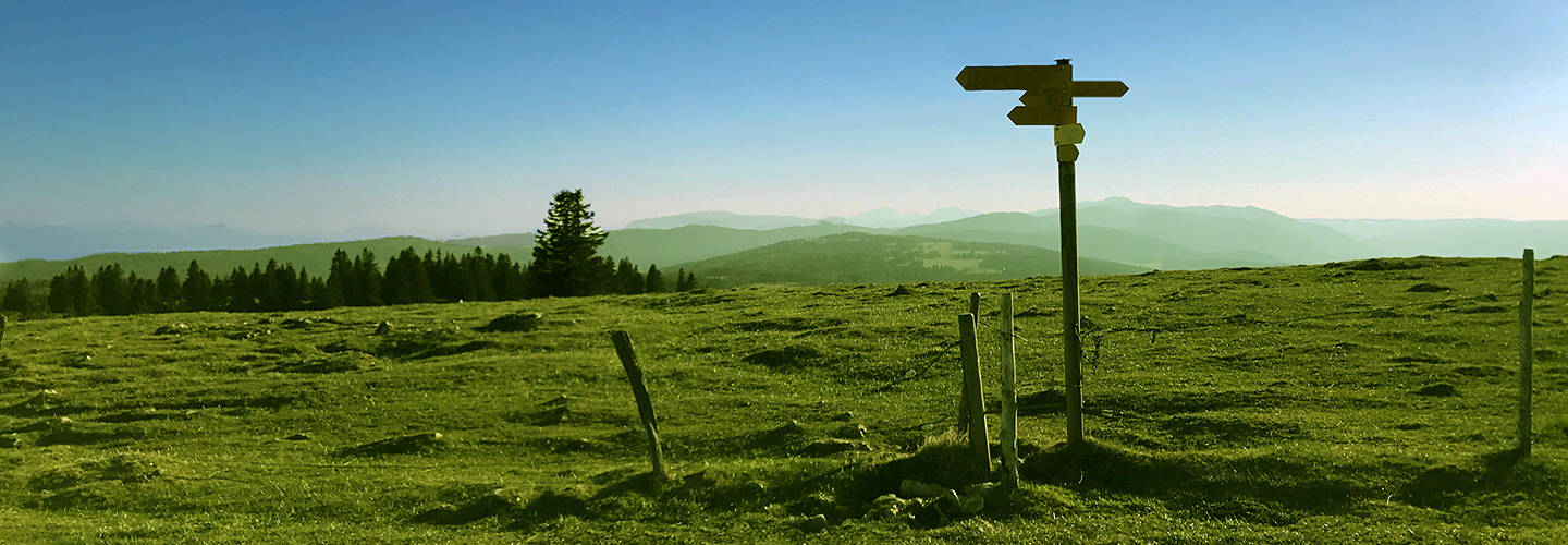 Signpost